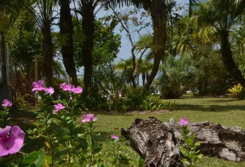 ペンション Pousada Tortuga