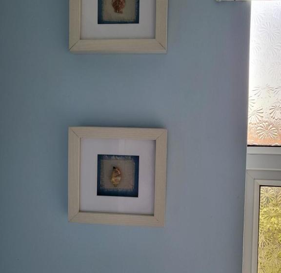 פנסיון The Bluebell Guest House