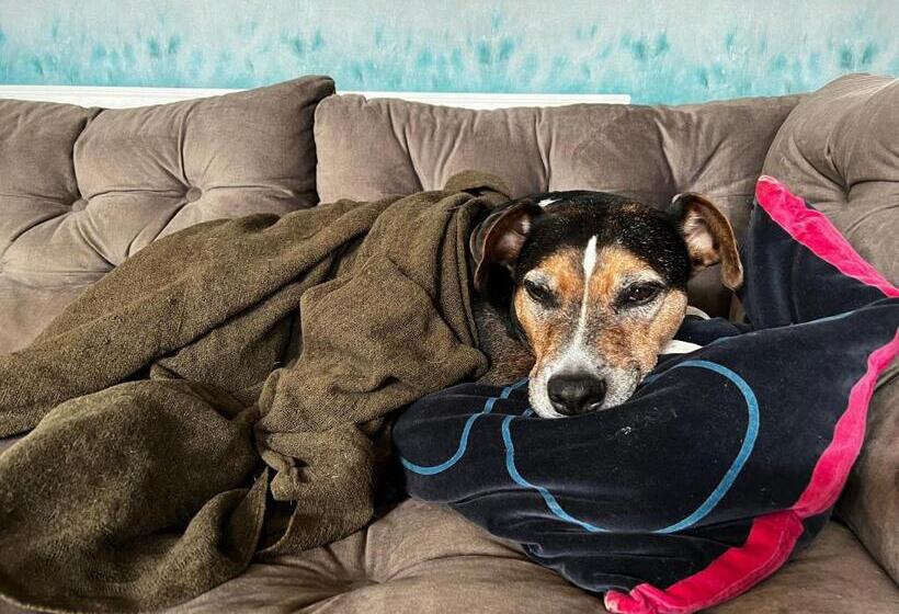 민박 Margaréta Garden & Spa