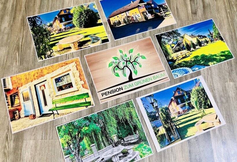 Europa Pension Zum Grünen Baum