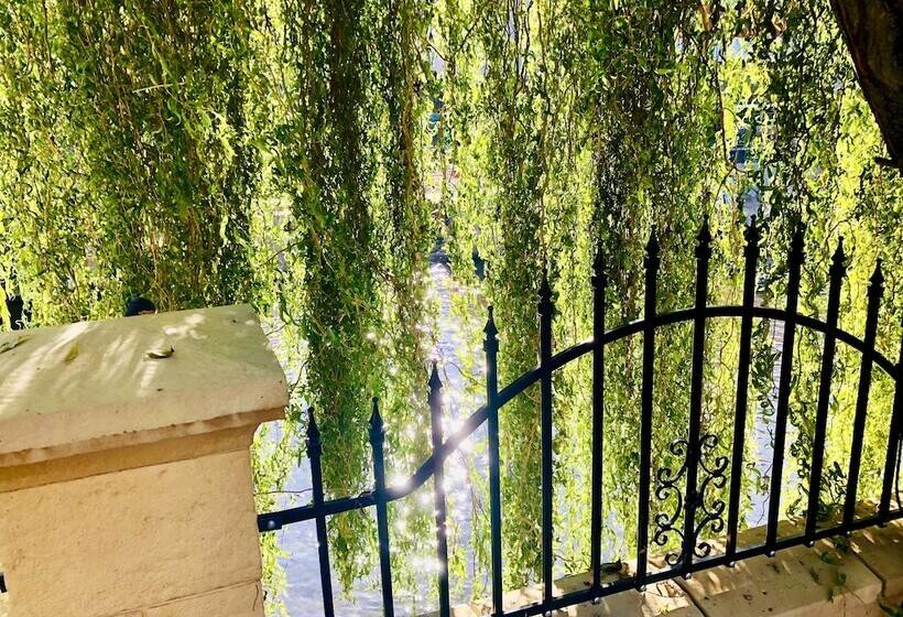 Europa Pension Zum Grünen Baum