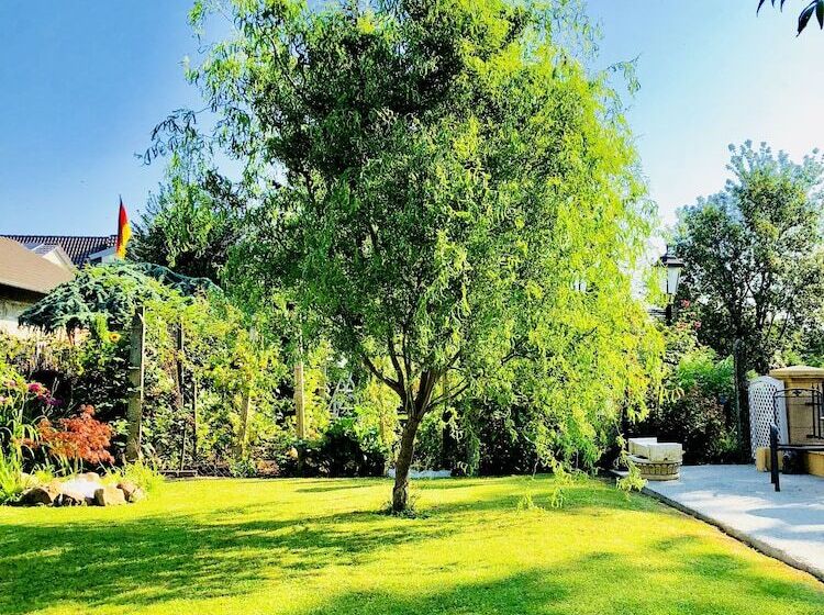 Europa Pension Zum Grünen Baum