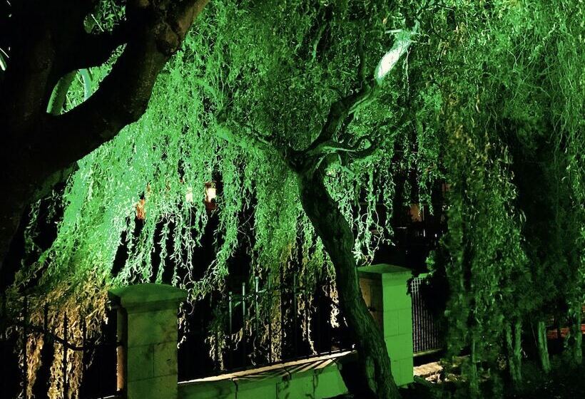 Europa Pension Zum Grünen Baum