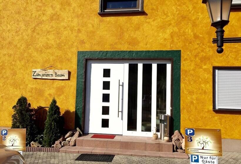 Europa Pension Zum Grünen Baum