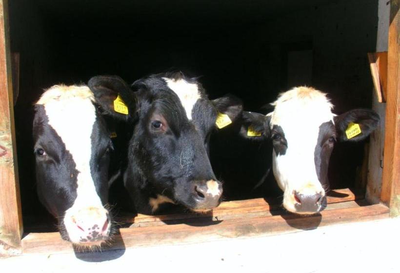 Отель Padoellhof