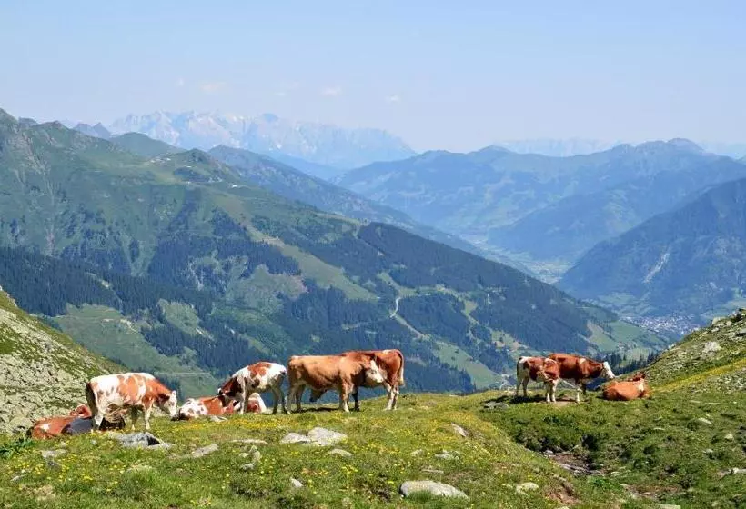 Hotelli Scheibenhof