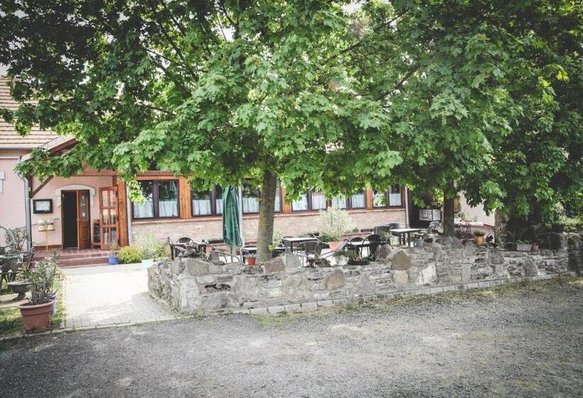 Пансион Borostyánkert étterem & Vendégház