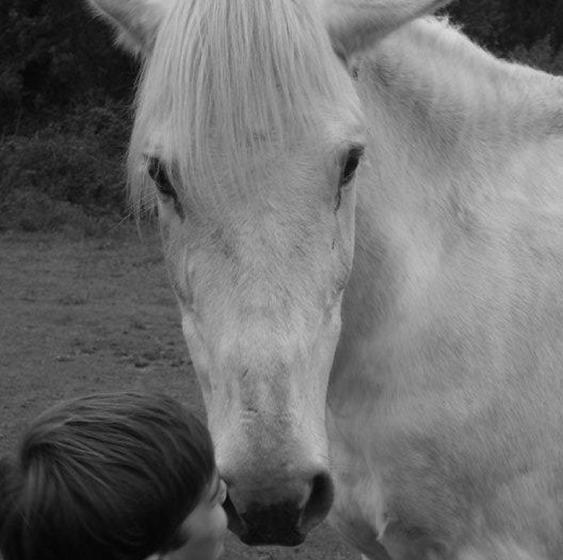 פנסיון La Ferme Antoinette