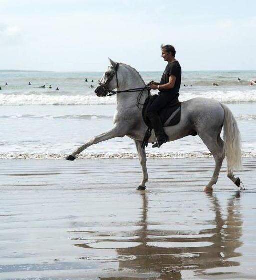 פנסיון La Ferme Antoinette
