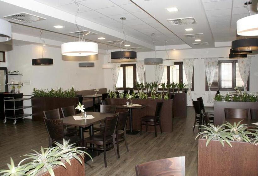 بنسيون Penzion Aladdin