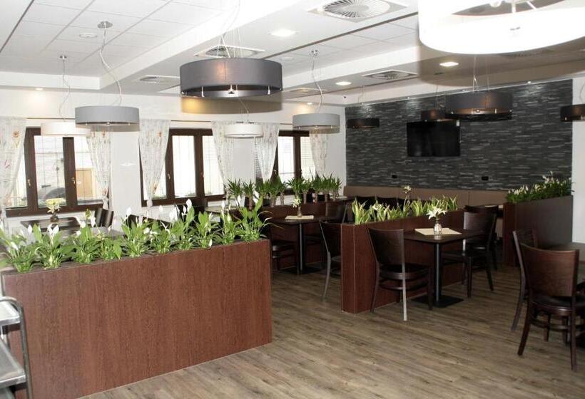 بنسيون Penzion Aladdin