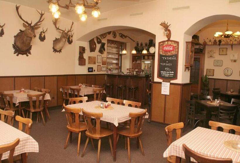 بنسيون Penzion Aladdin