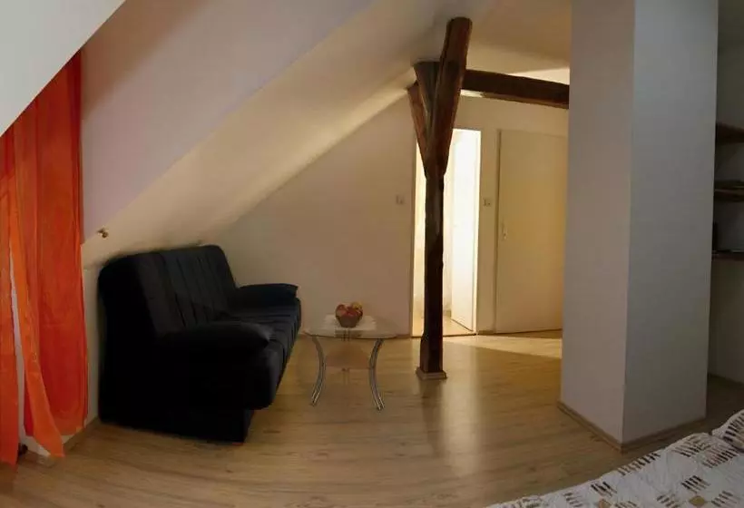 ペンション Penzion U Haničky