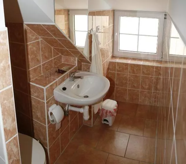 ペンション Penzion U Haničky