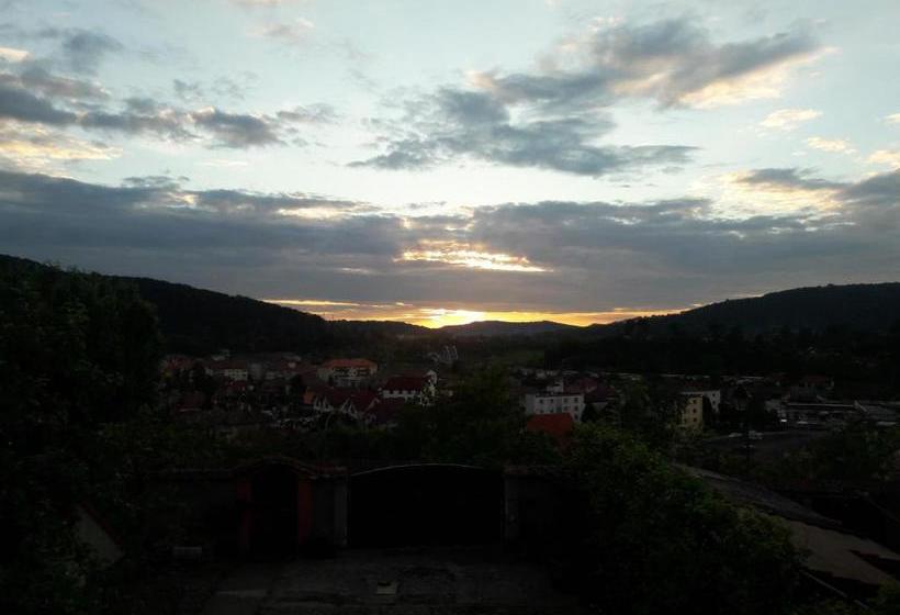 Pensiunea Lelila Inn