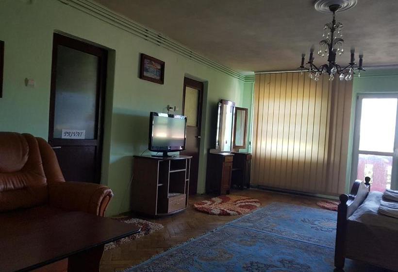 Pensiunea Lelila Inn