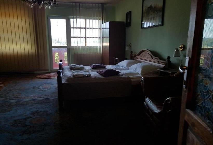 Pensiunea Lelila Inn