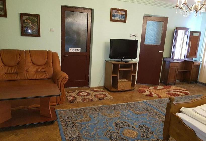 Pensiunea Lelila Inn