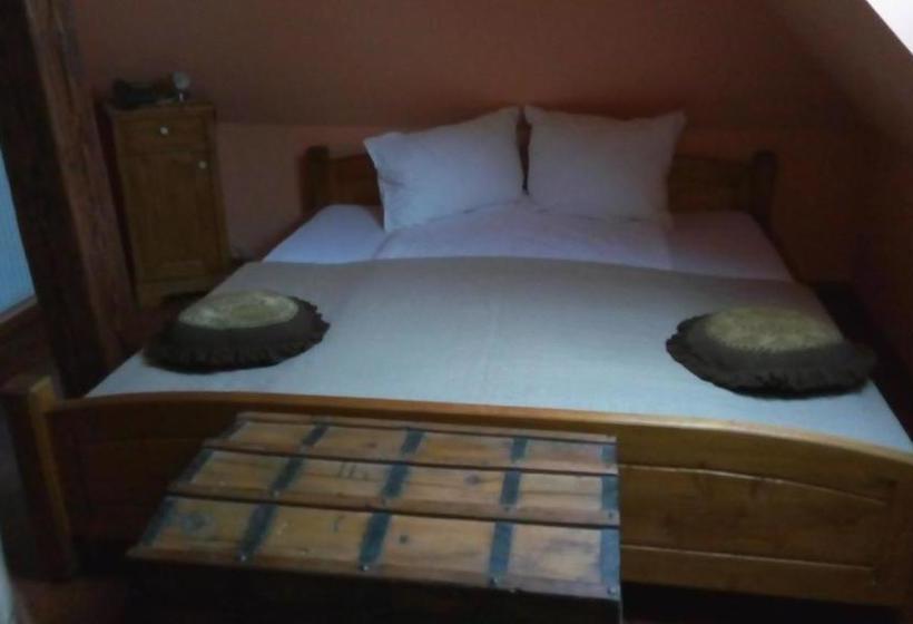 Pensiunea Lelila Inn