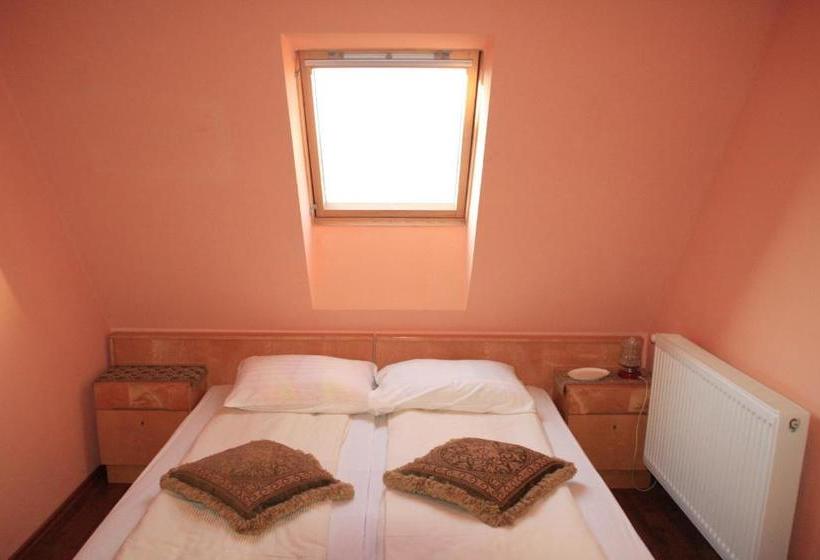 Pensiunea Lelila Inn