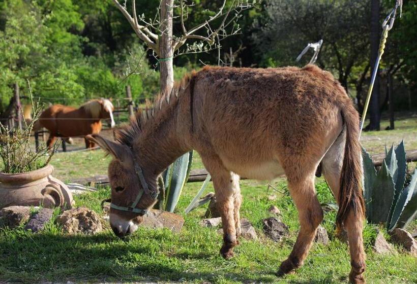 Отель Casa Verniano