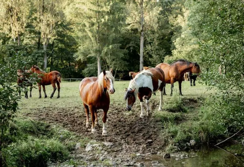 هتل Ekoturizem Hudičevec