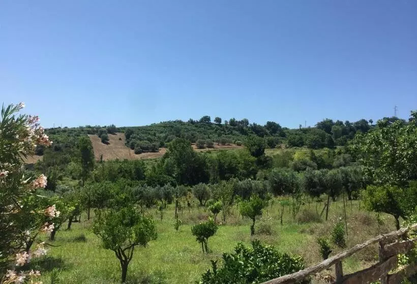 ホテル Il Borgo Sul Lago