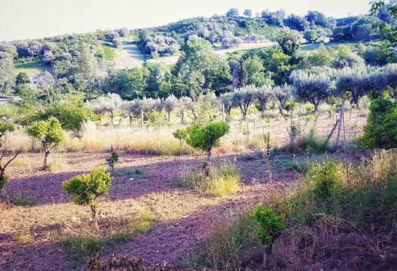 בית מלון כפרי Il Borgo Sul Lago