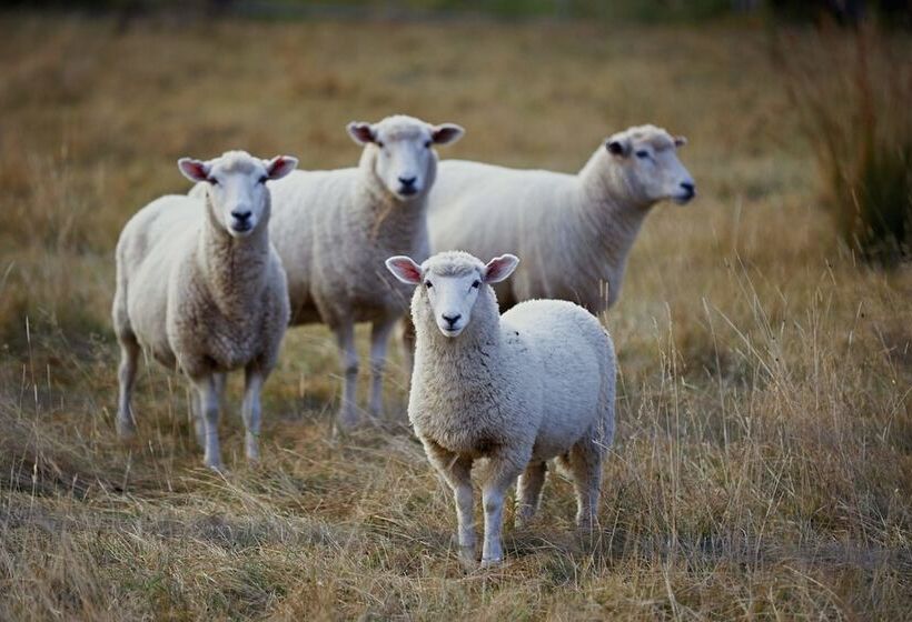 호텔 Koura Bay Golf Resort