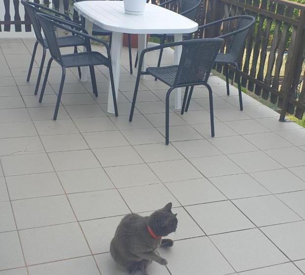 Пансион Arató Vendégház