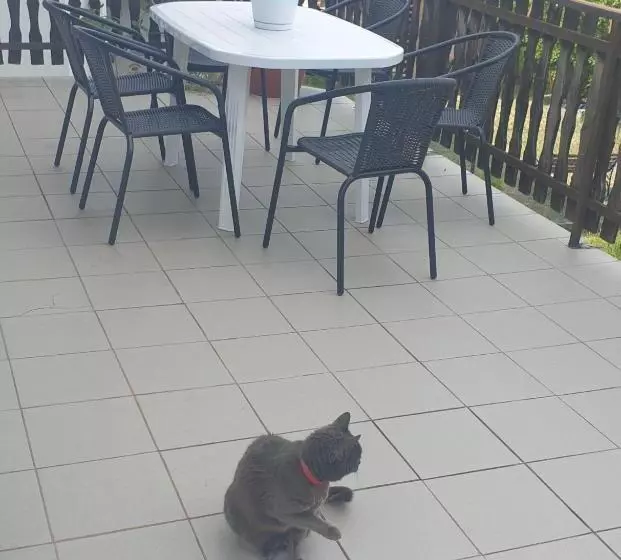 ペンション Arató Vendégház