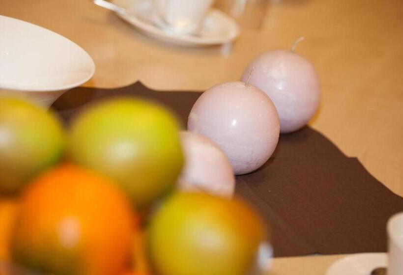 פנסיון Birkheim