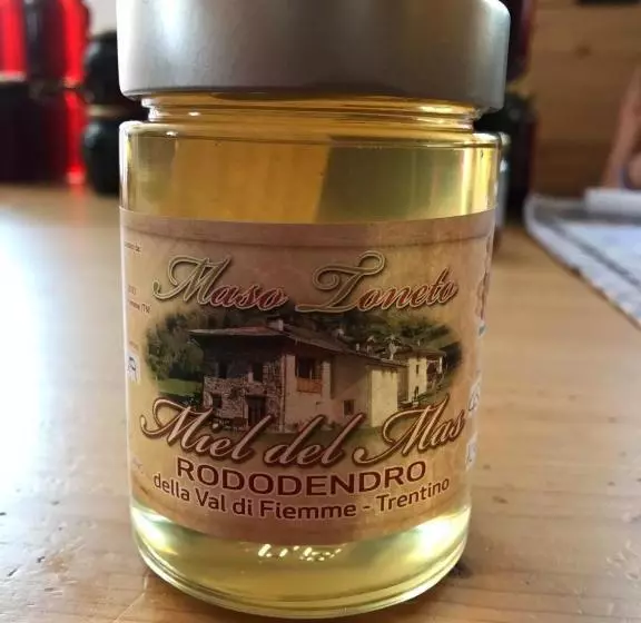 Majatalo Maso Toneto