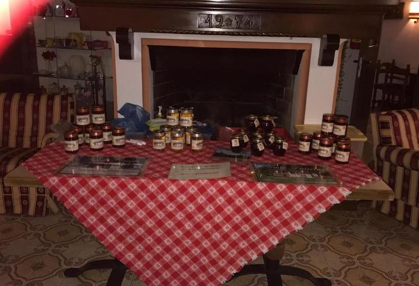 膳宿费 Maso Toneto