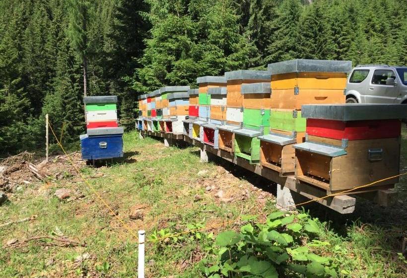 膳宿费 Maso Toneto