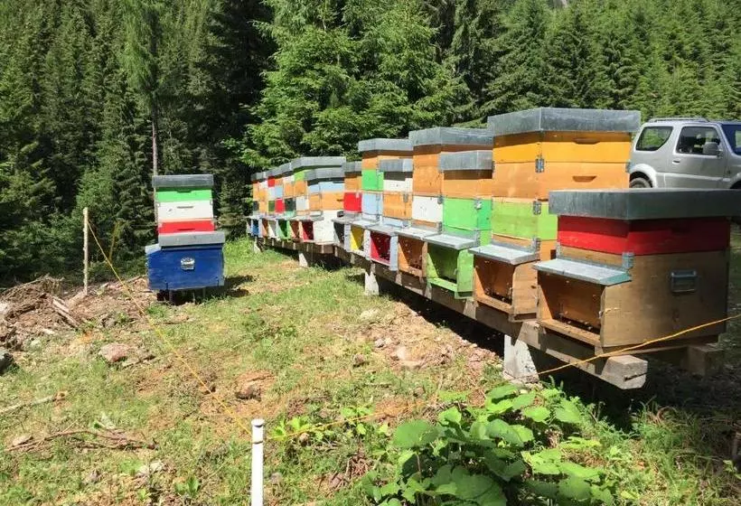 Majatalo Maso Toneto