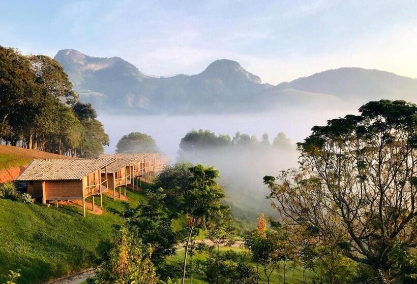 ペンション Pousada Caminho Da Mata