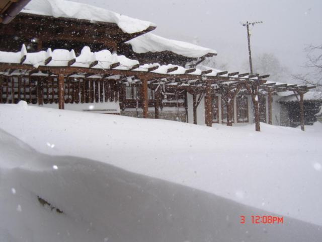 膳宿费 The House With The Vine Guest House