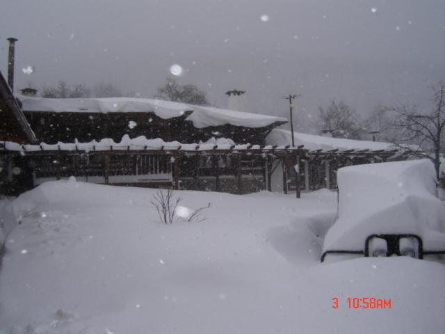 膳宿费 The House With The Vine Guest House