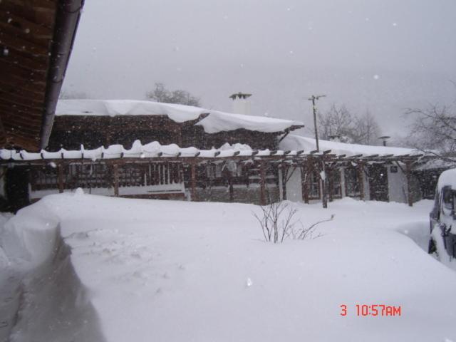 膳宿费 The House With The Vine Guest House