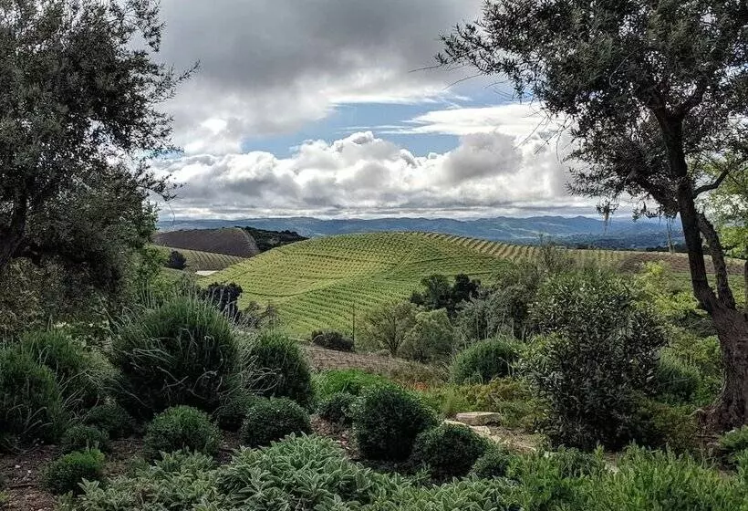 ユースホステル Croad Vineyards   The Inn