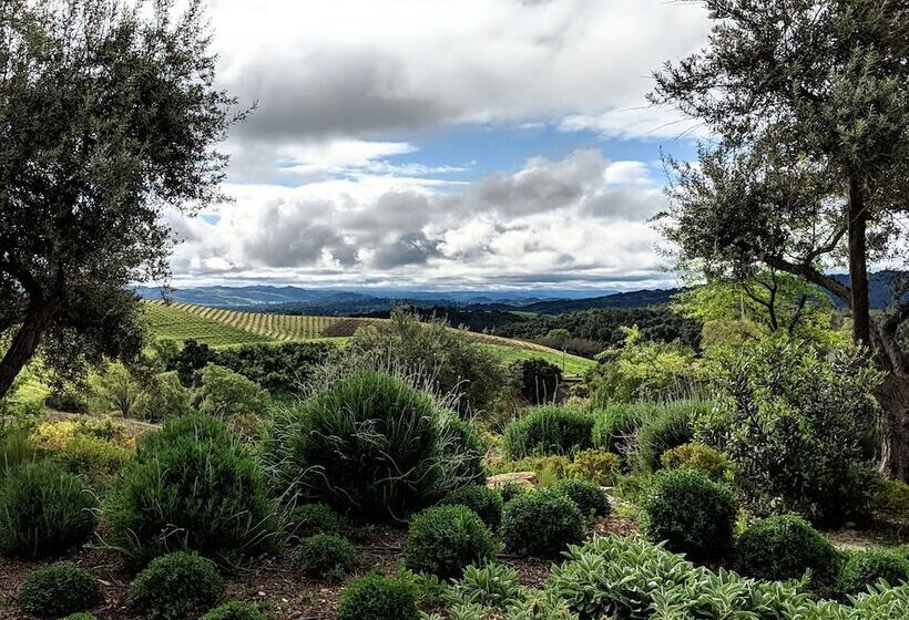 ユースホステル Croad Vineyards The Inn