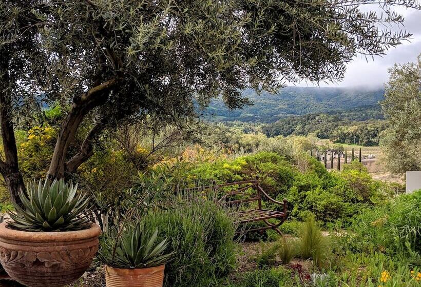 ユースホステル Croad Vineyards The Inn