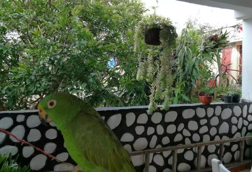 ユースホステル Posada Martha Tolima