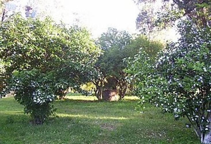 酒店 Pousada Chácara Das Roseiras