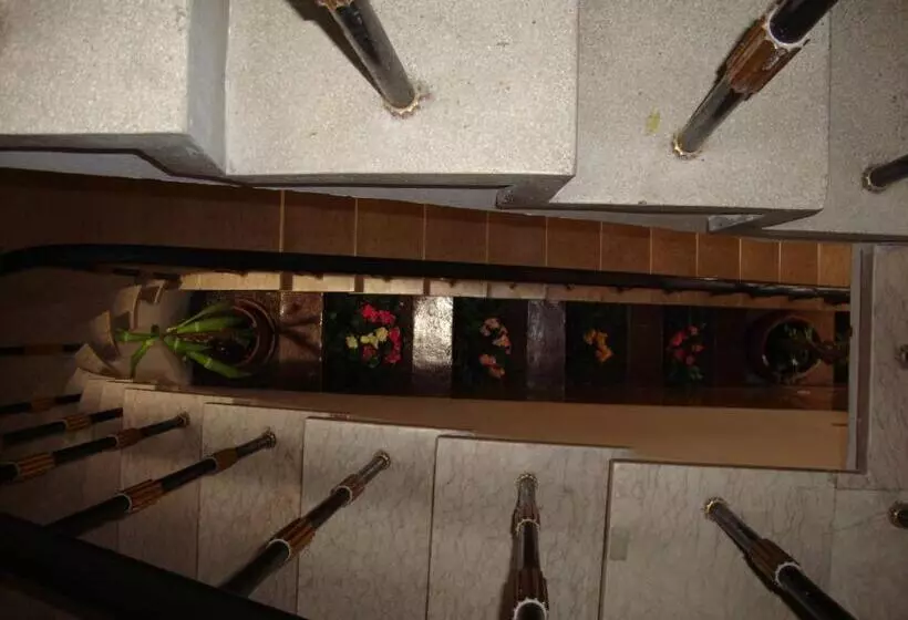 پانسیون Aliança Alojamento Local