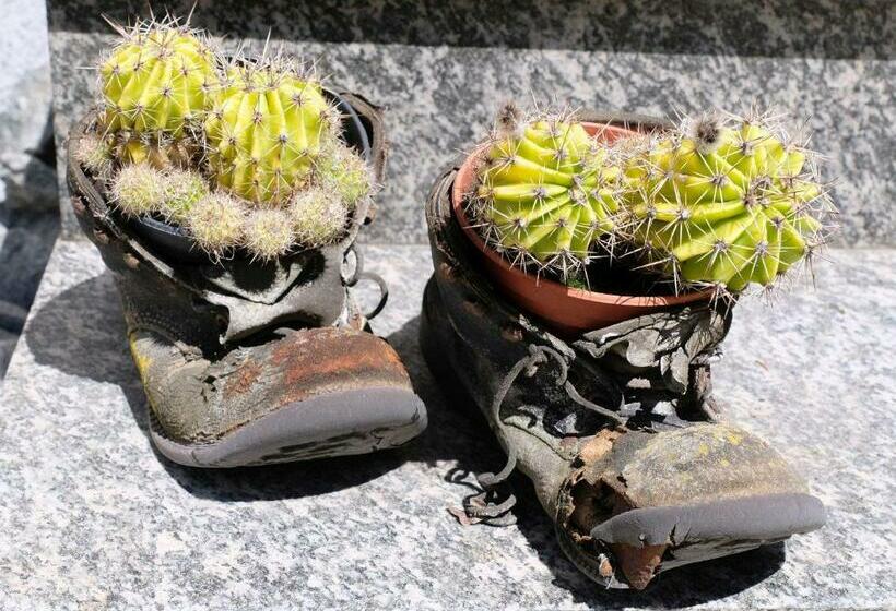 Пансион Gästehaus Gerda