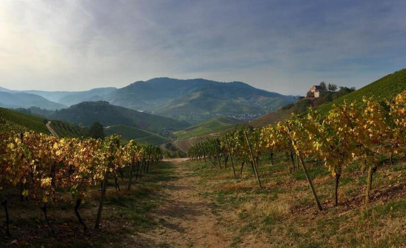 Пансион Gästehaus Gerda