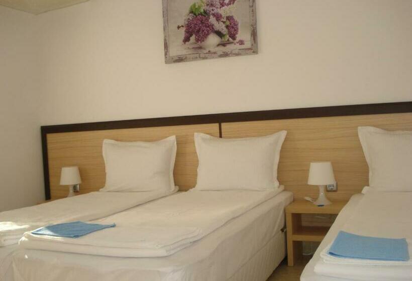 بنسيون The Sunny Home Guesthouse