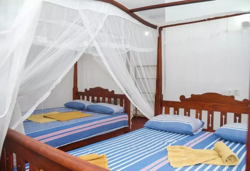 ペンション Tithira Guest House